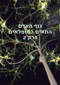 human body pstr 2