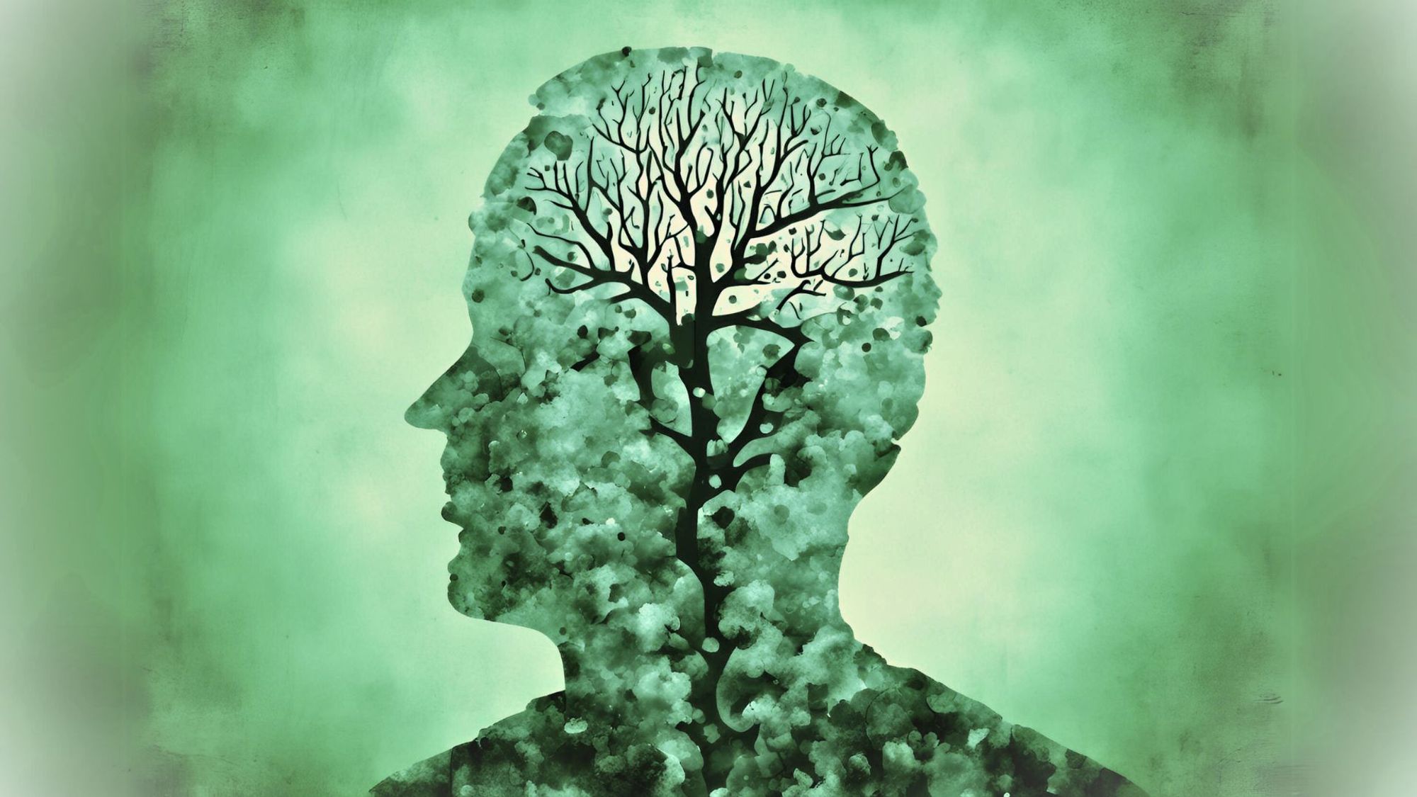 צמחים המסייעים בהתמודדות עם דיכאון, פחד וחרדה